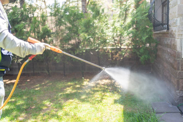 Best Best Pest Control Companies  in Warm Mineral Springs, FL