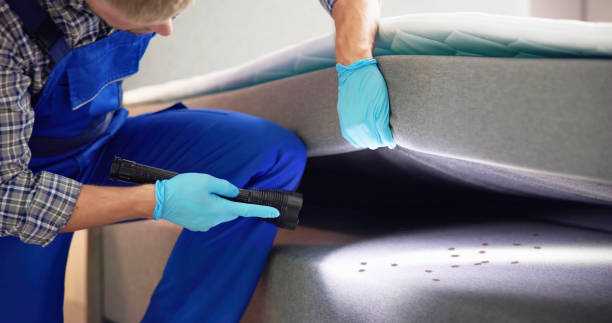 Best Rat Extermination Near Me  in Warm Mineral Springs, FL