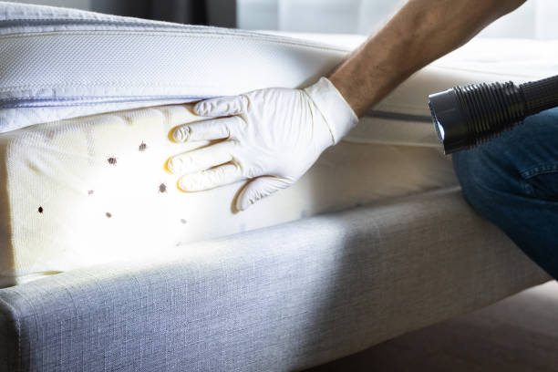  Warm Mineral Springs, FL Pest Control Pros