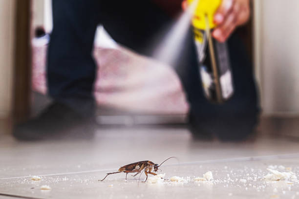 Best Pest Removal Services  in Warm Mineral Springs, FL