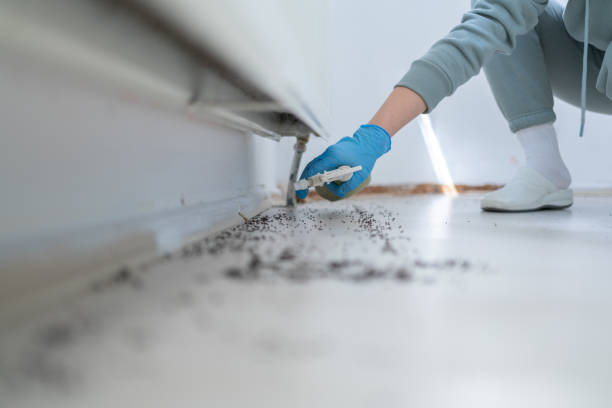 Warm Mineral Springs, FL Pest Control Company