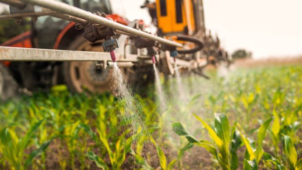 Best Commercial Pest Control Services  in Warm Mineral Springs, FL